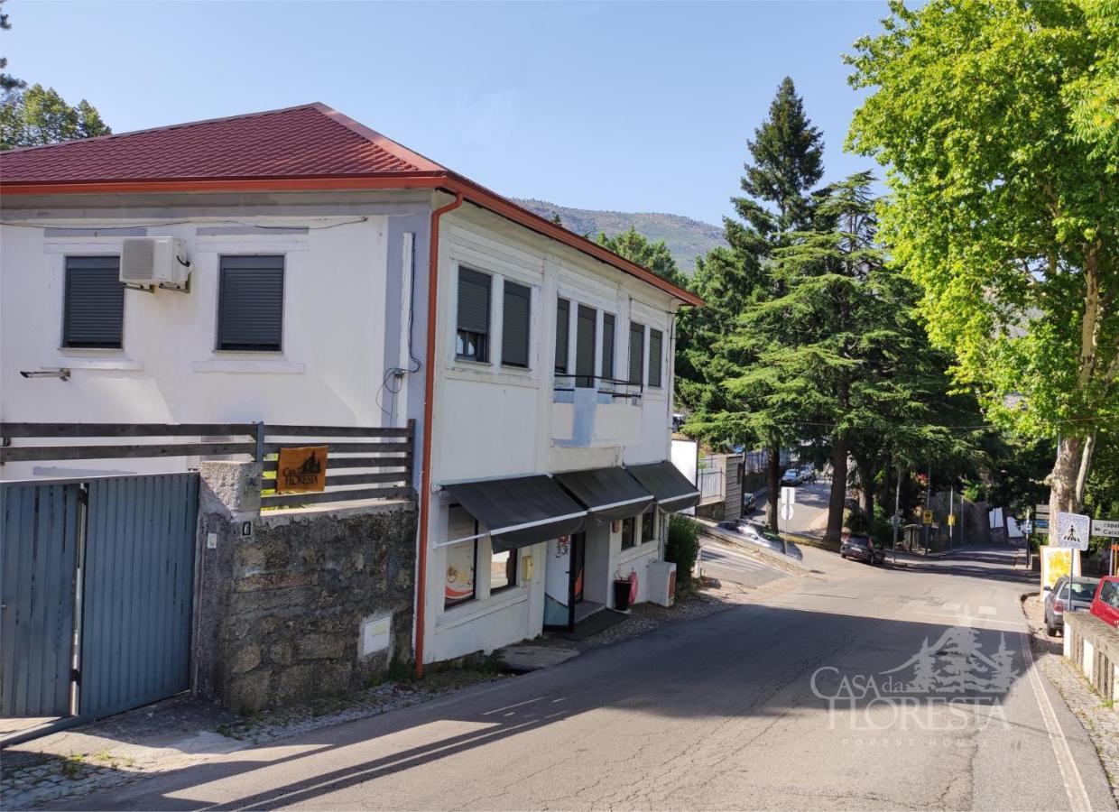 Casa Da Floresta كوفيلهَ المظهر الخارجي الصورة