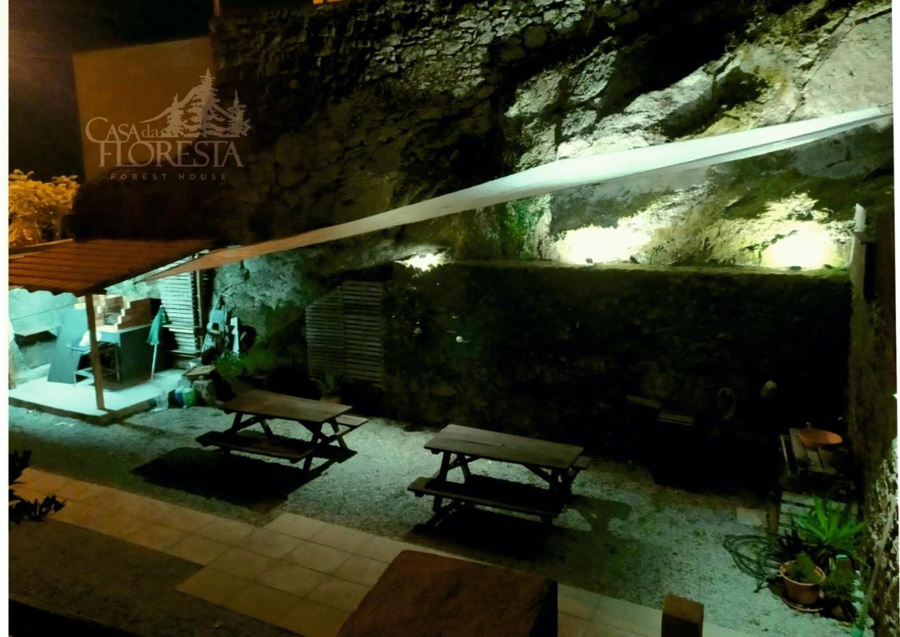 Casa Da Floresta كوفيلهَ المظهر الخارجي الصورة